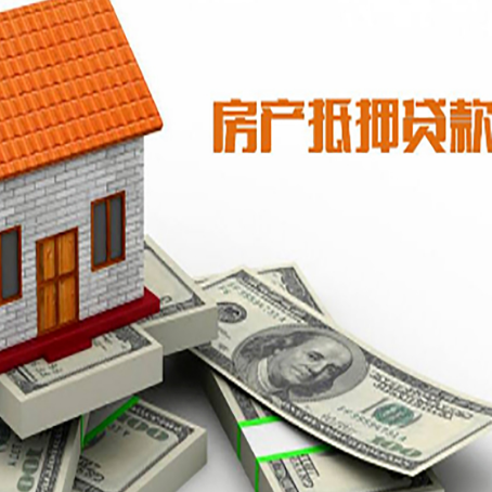 大丰贷款公司新渝启服怎么选择